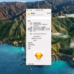 Apple Silicon M1/Big 应用安装后运行闪退/无效/没办法用怎么办?